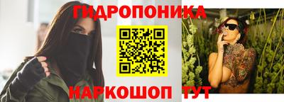 соль ск Новозыбков