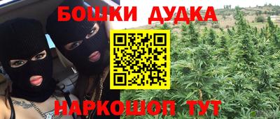 соль ск Новозыбков